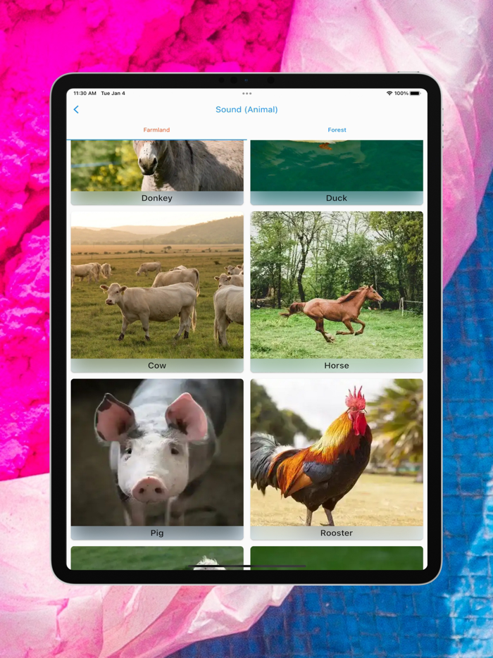 Prakash Nepali Barnamaala