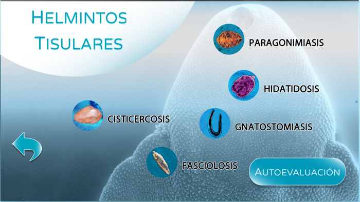 Parásitos sistémicos