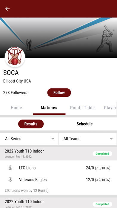 Superover Cricket Academy Screenshot