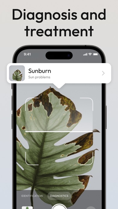Tree & Plant Identifier appのおすすめ画像3