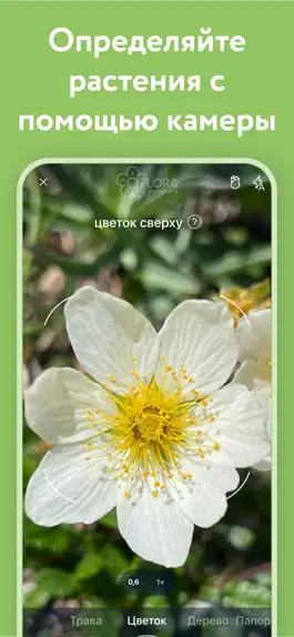 Game screenshot Flora Incognita mod apk