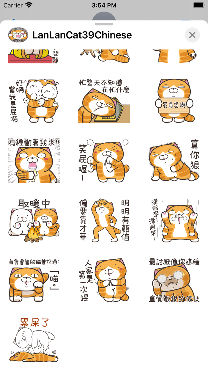 白爛貓39 超胡鬧