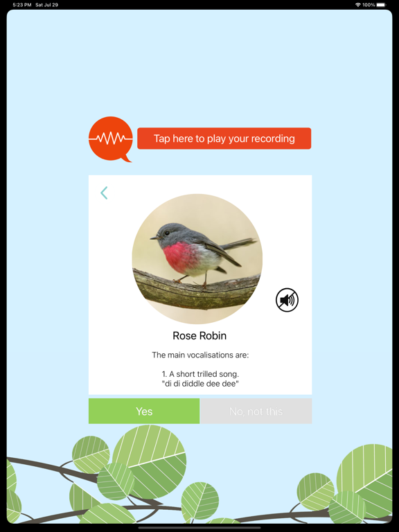 Screenshot #5 pour ChirpOMatic - Australian birds