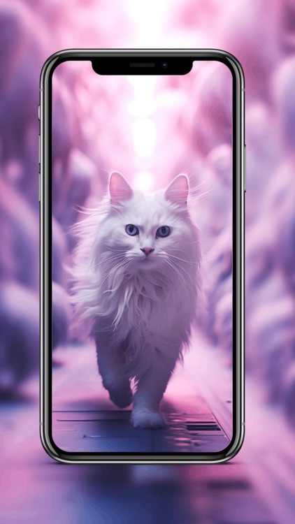 Cute Cat Wallpapers screenshot-3