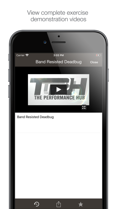 The Performance Hub Screenshot