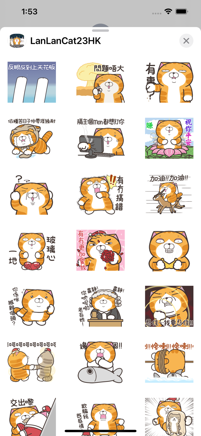 白爛貓 23 一起動 HK