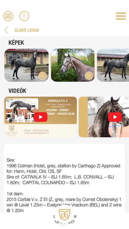 Szuhai Horses screenshot-3