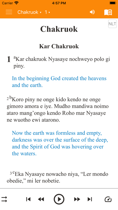 Dholuo Bible Screenshot