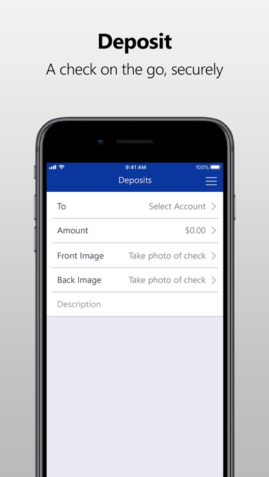 First Savings Bank of Danville Screenshot