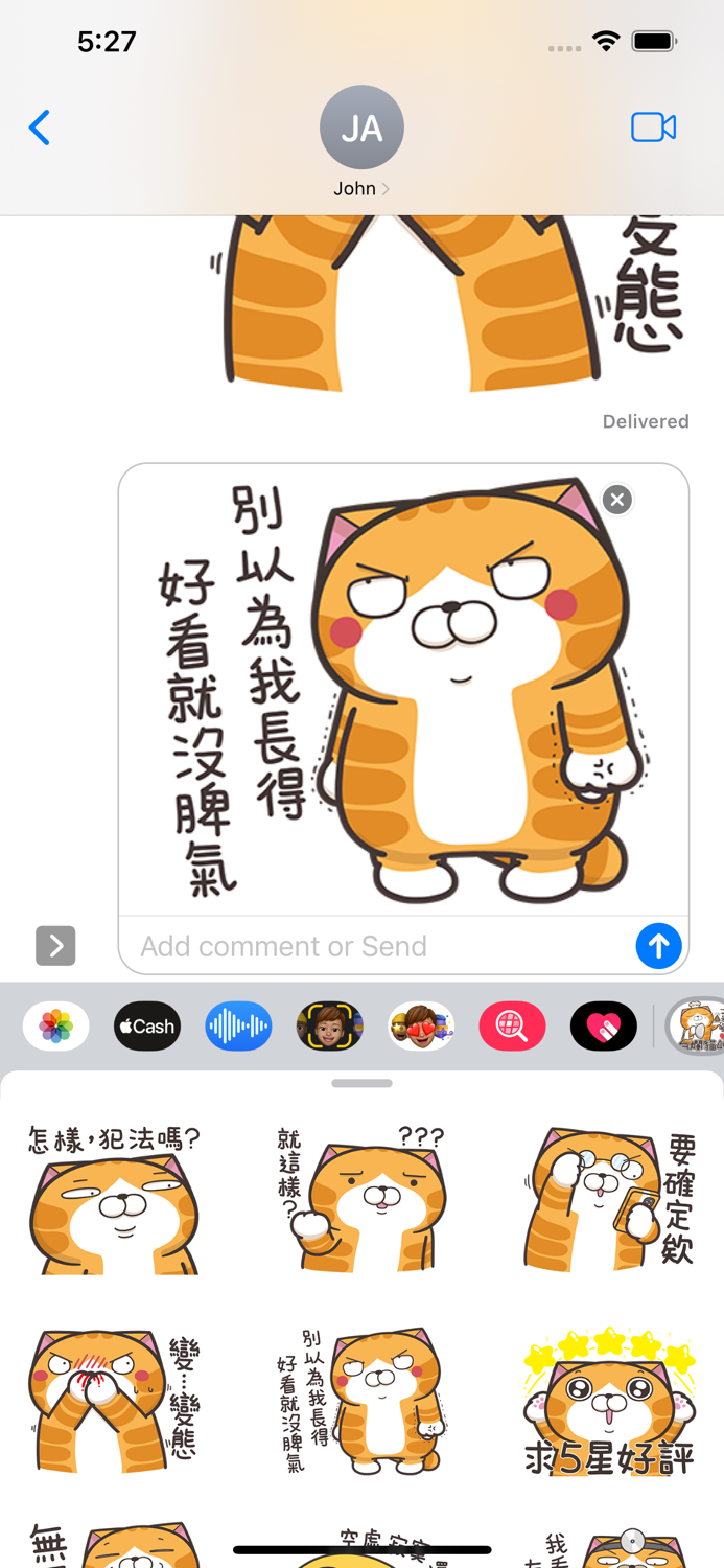 白爛貓40 超活潑