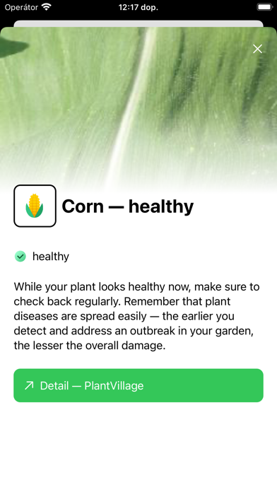 Plant Doctor AI Screenshot