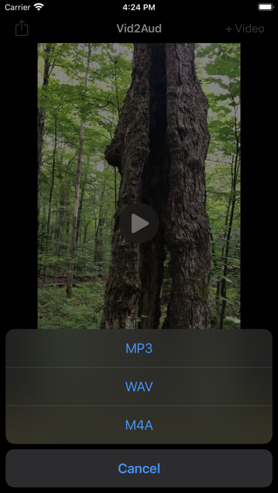 Vid2Aud Screenshot