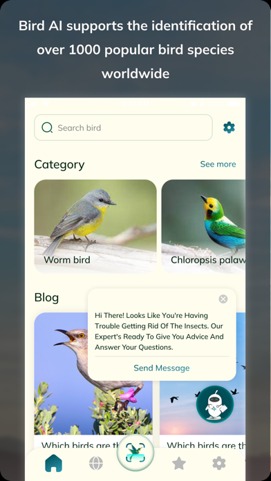 Bird Detect Screenshot