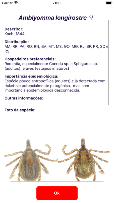 VetorDex Screenshot