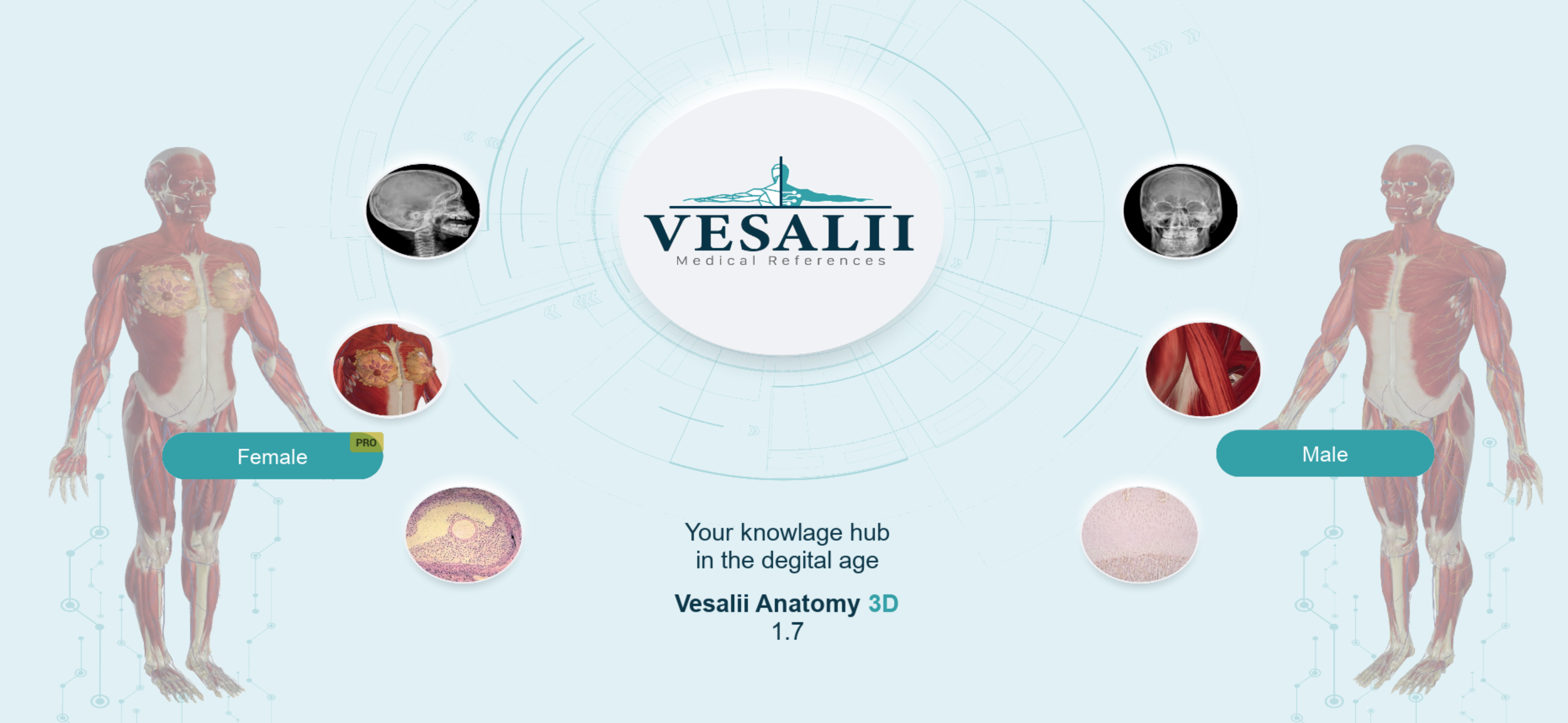 Vesalii Anatomy Student