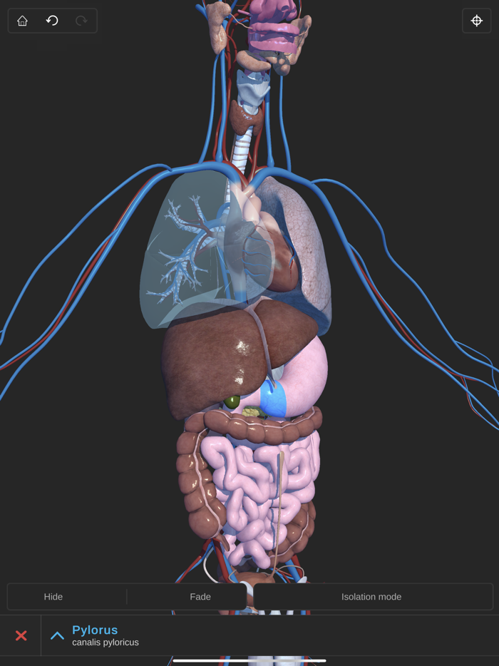 Visual Anatomy 3D - Human