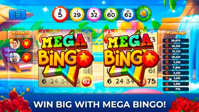 Bingo Pop screenshot1