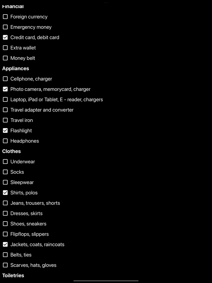 Travel Packing Checklist