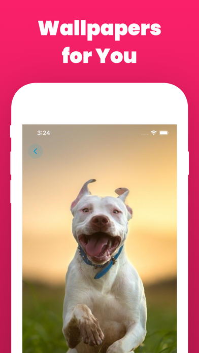 Dog Wallpaper and Backgrounds Screenshot
