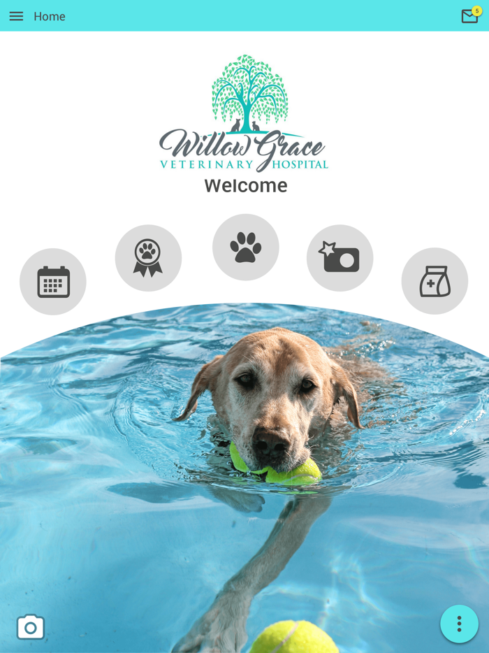 Willow Grace Vet Hospital