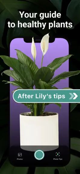 Game screenshot Plant identifier & Care－Lily hack
