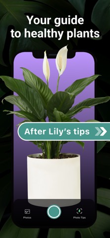 LiLy: Plant, Flower Identifierのおすすめ画像3