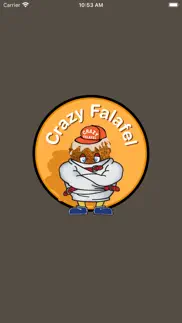 crazy falafel problems & solutions and troubleshooting guide - 4