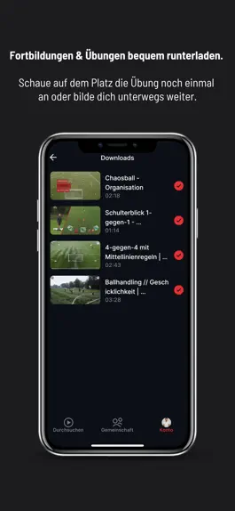 Game screenshot ADVANCE.FOOTBALL hack