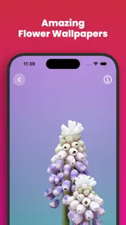 flower wallpapers 4k - hd iphone screenshot 3