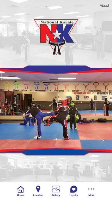 Wisconsin National Karate Screenshot