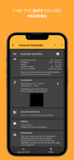 BatLib screenshot 2