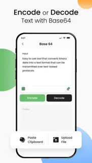 base64 encoder decoder iphone screenshot 2