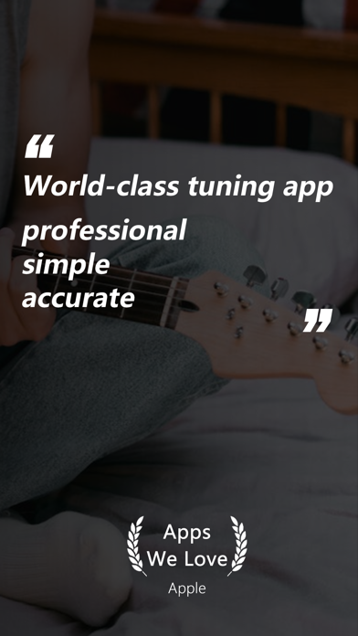 guitar tuner - guitartune Screenshot