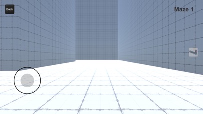 In a Maze Screenshot