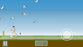 CricketMayhem: 2D Cricket Game screenshot