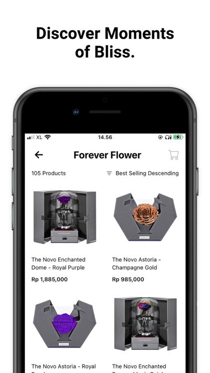 Outerbloom Flower & Cake