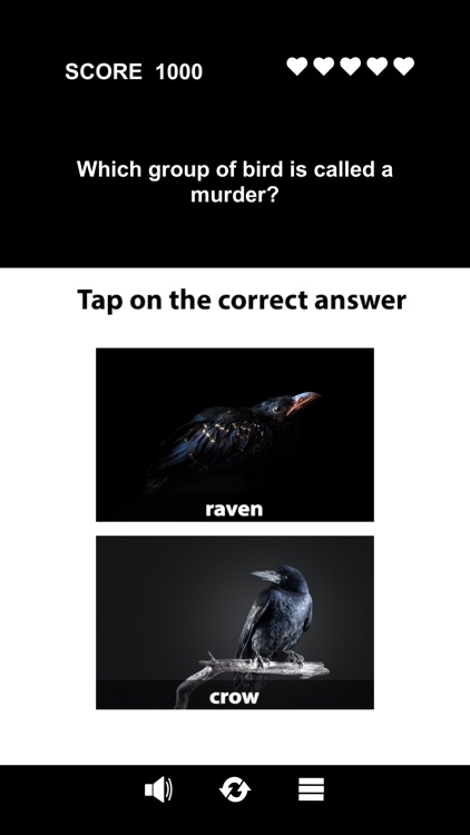 Animal Class screenshot-2