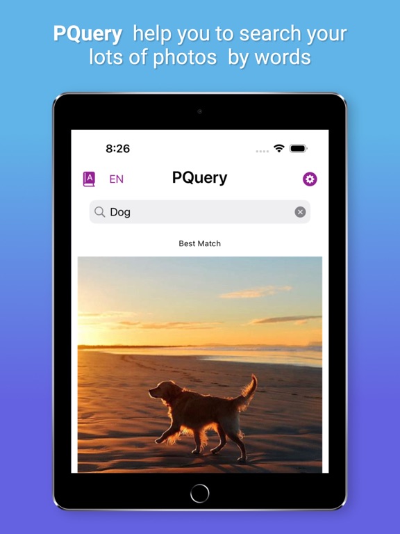 PicQuery-AI Photo finder iPad screenshot 1 - Photo & Video app