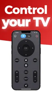 vizi : tv remote for vizio iphone screenshot 2