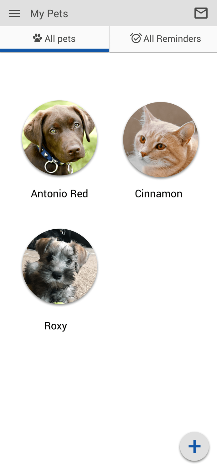 Companion Animal Hospital FL