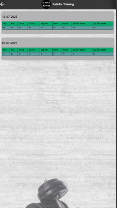 Fabrika Training Screenshot