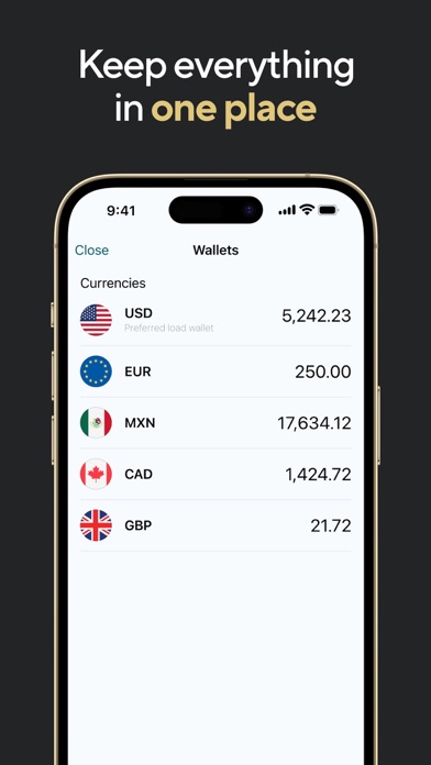 X World Wallet: Visa Card Screenshot