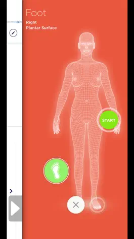 Game screenshot Pedico mod apk