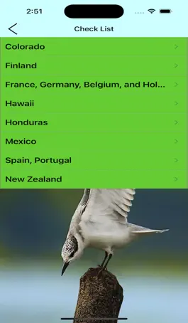 Game screenshot Common Birds Songs apk