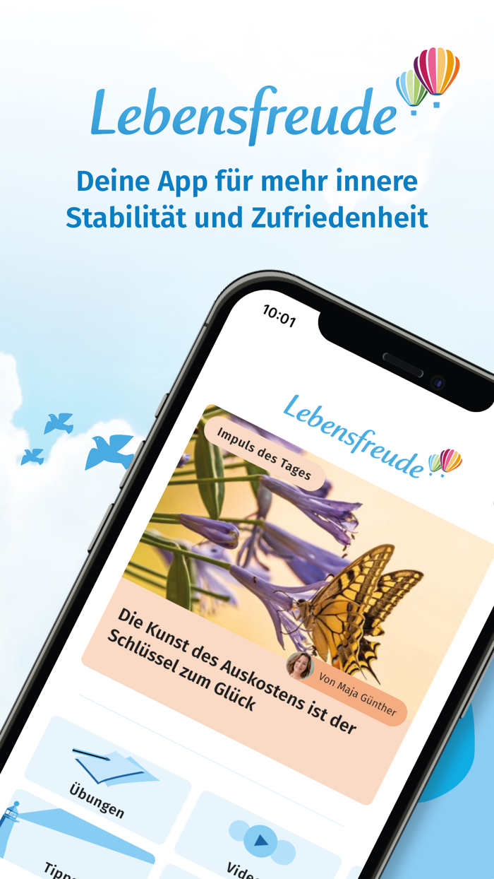 Lebensfreude Mindset and Health