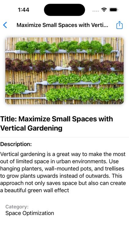 Urban Gardening Tips