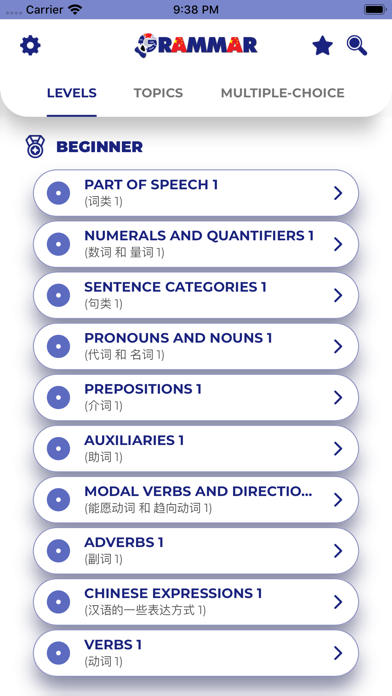 Chinese GrammarーLessons・Tests Screenshot
