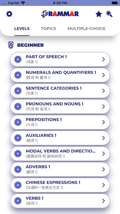 Chinese GrammarーLessons・Tests