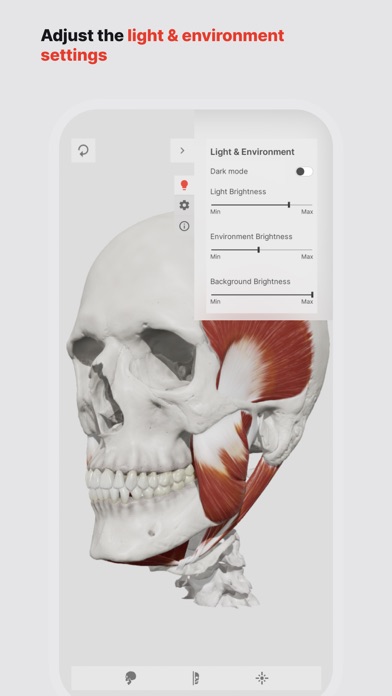 Skull, Teeth & TMJ Screenshot