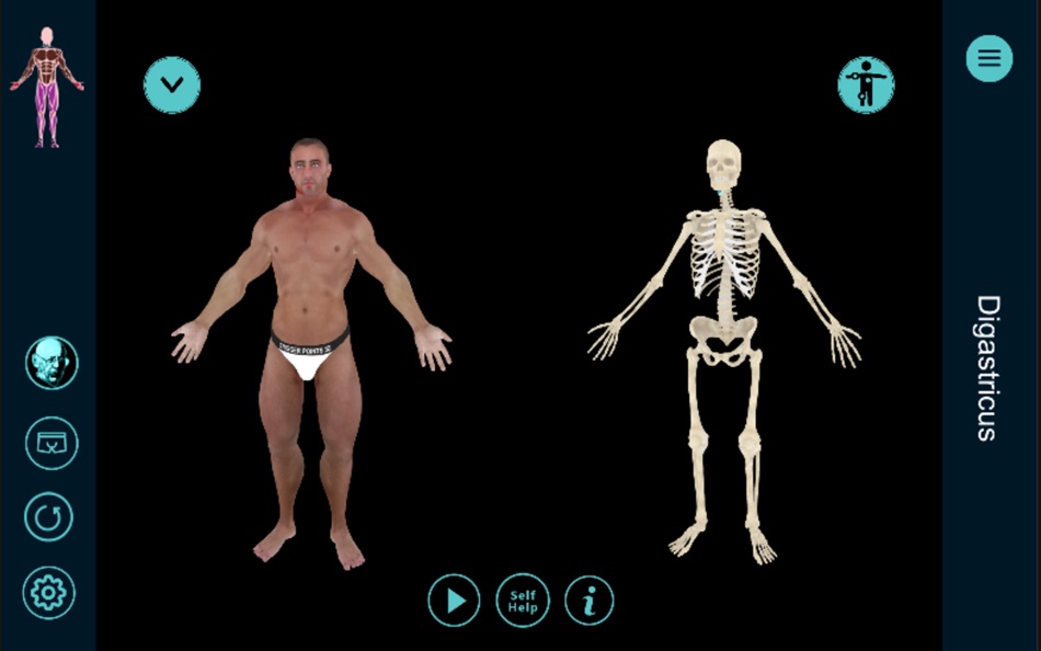 #2. TriggerPoints3D (macOS) 由: simeon niel-asher
